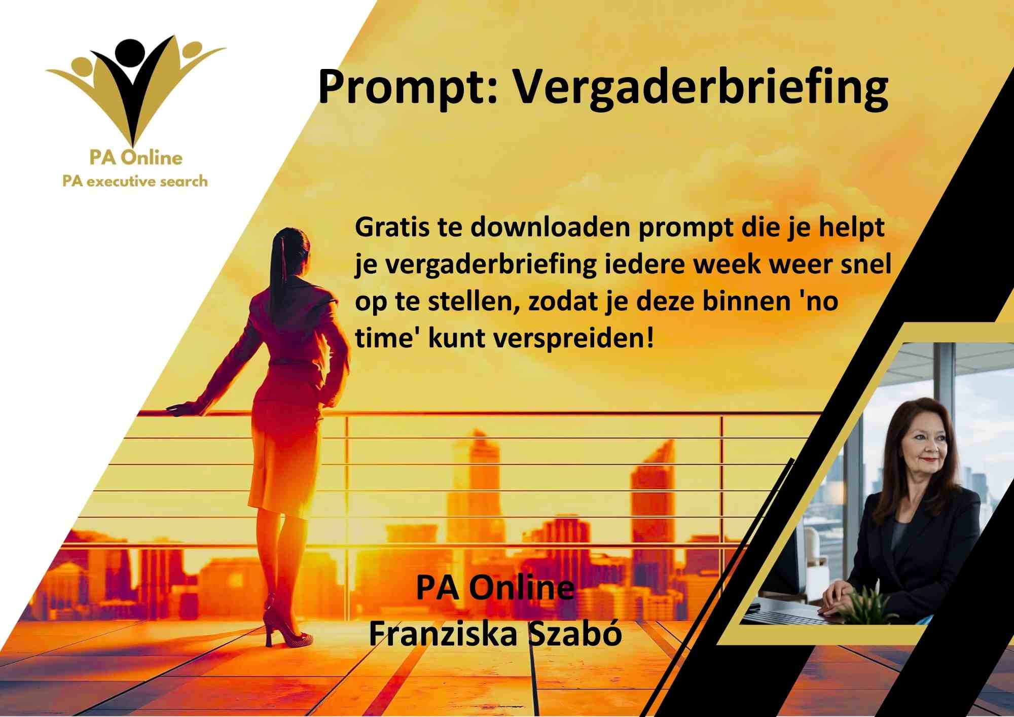 Prompt Vergaderbriefing